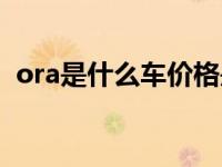 ora是什么车价格是多少（ora什么牌子车）