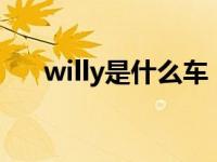 willy是什么车（kyron是什么车标志）