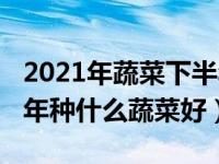 2021年蔬菜下半年价格会涨吗（2021年下半年种什么蔬菜好）