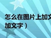 怎么在图片上加文字和二维码（怎么在图片上加文字）