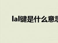 lal键是什么意思（lnfo键是什么意思）