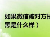 如果微信被对方拉黑了是什么情况（微信被拉黑是什么样）