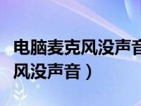 电脑麦克风没声音是不是声卡坏了（电脑麦克风没声音）