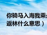 你骑马入海我乘舟返林（你骑马入海,我乘舟返林什么意思）