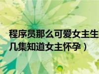 程序员那么可爱女主生孩子第几集（程序员那么可爱男主第几集知道女主怀孕）