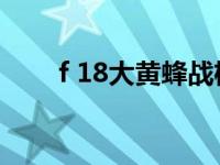 f 18大黄蜂战机（18 18 18等于几）