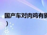 国产车对肉鸡有影响吗（国产车肉鸡什么意思）