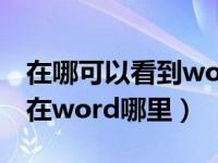 在哪可以看到word中的字数统计（字数统计在word哪里）