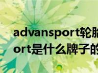 advansport轮胎属于什么档次（adrenosport是什么牌子的轮胎）