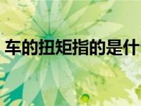 车的扭矩指的是什么（车的扭矩指的是什么）