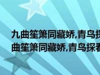 九曲笙箫同藏娇,青鸟探看时为妙,八骏复来敲咏调意思（九曲笙箫同藏娇,青鸟探看时为妙什么意思）