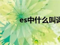 es中什么叫词条（es圈子是什么）