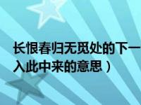 长恨春归无觅处的下一句诗是什么（长恨春归无觅处不知转入此中来的意思）