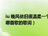 iu 晚风依旧很温柔一个人慢慢走（的温柔,一个人慢慢走是哪首歌的歌词）