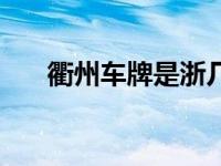 衢州车牌是浙几（衢州车牌是浙什么）