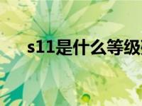 s11是什么等级残疾（s11是什么残疾）