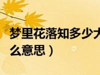 梦里花落知多少大概内容（梦里花落知多少什么意思）