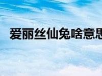 爱丽丝仙兔啥意思（爱丽丝仙兔是什么梗）