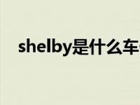 shelby是什么车价格（shelby是什么车）