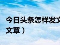 今日头条怎样发文章与视频（今日头条怎样发文章）