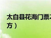 太白县花海门票2021（太白县花海在什么地方）