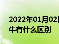 2022年01月02日最新发布:兰博基尼大牛小牛有什么区别