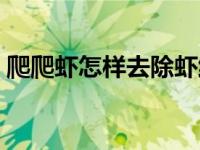 爬爬虾怎样去除虾线（爬爬虾怎么处理虾线）