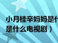 小月桂辛妈妈是什么电视剧（小月桂和辛妈妈是什么电视剧）