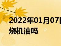 2022年01月07日最新发布:大众的车普遍都烧机油吗