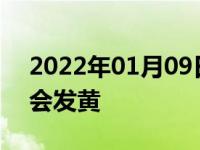 2022年01月09日最新发布:白色的车子几年会发黄