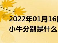 2022年01月16日最新发布:跑车中的大牛和小牛分别是什么