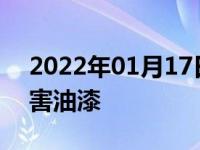 2022年01月17日最新发布:抛光为什么会伤害油漆