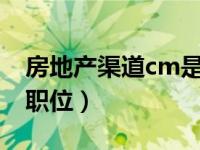 房地产渠道cm是什么职位（房地产bi是什么职位）