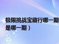 极限挑战宝藏行哪一期有金靖（极限挑战宝藏行第二季金靖是哪一期）