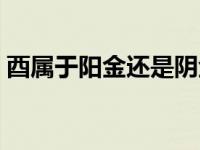 酉属于阳金还是阴金（酉金是阴金还是阳金）