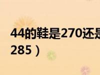 44的鞋是270还是285（44码的鞋是280还是285）