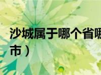 沙城属于哪个省哪个市（保沙属于哪个省哪个市）