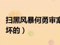 扫黑风暴何勇审案（扫黑除暴何勇是好的还是坏的）