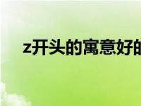 z开头的寓意好的汉字（ZX汉字有哪些）