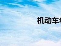 机动车年检带什么材料