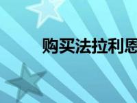 购买法拉利恩佐需要什么样的条件