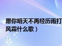 愿你明天不再经历雨打风霜清唱（愿你的明天不再经历雨打风霜什么歌）