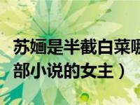 苏婳是半截白菜哪部小说的女主角（苏婳是哪部小说的女主）