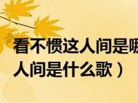 看不惯这人间是哪首歌的歌词（就是看不惯这人间是什么歌）