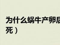 为什么蜗牛产卵后要死（为什么蜗牛产卵后要死）