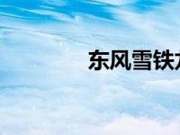 东风雪铁龙车标含义是什么