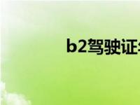 b2驾驶证年审需要什么资料