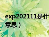 exp202111是什么意思（exp0c2021是什么意思）