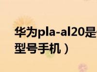 华为pla-al20是什么型号（pla-al20是什么型号手机）