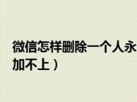 微信怎样删除一个人永远加不进来（微信怎样删一个人永远加不上）